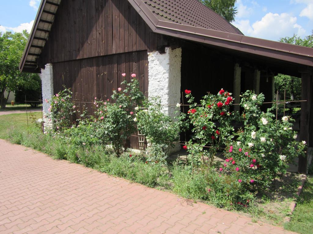 Gospodarstwo Agroturystyczno-Edukacyjne Gratka Celiny  외부 사진